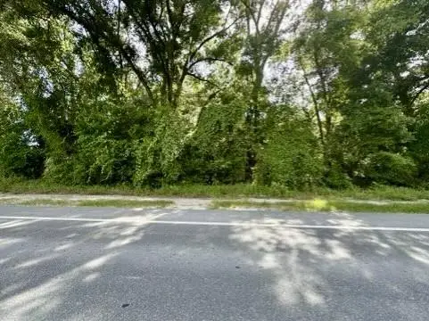 S Main St, Bell, FL 32619