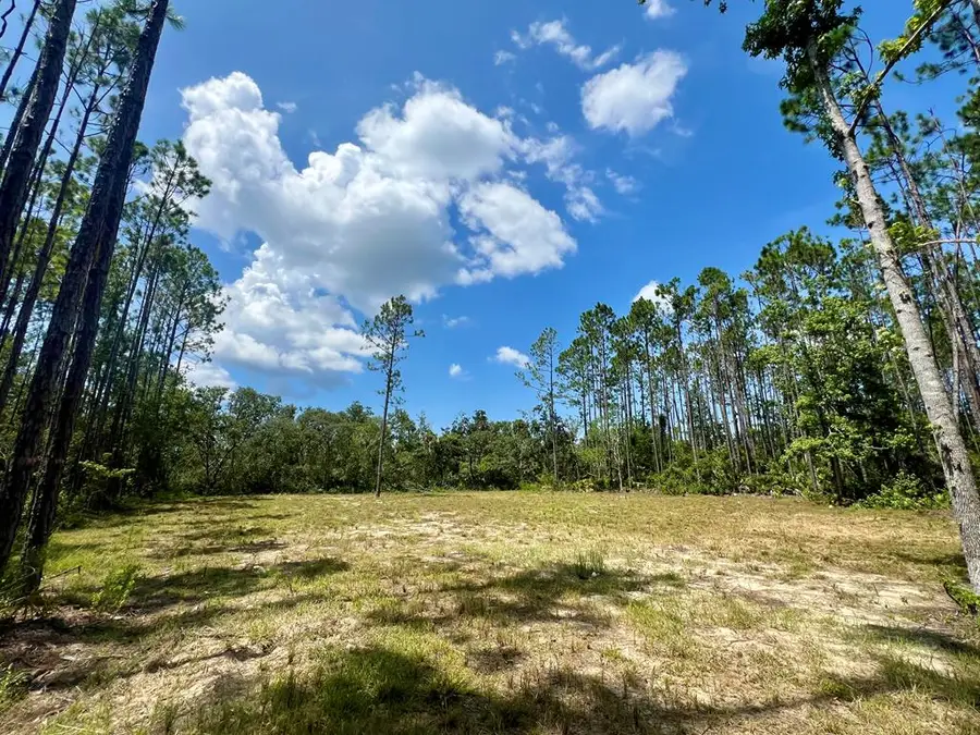 SW 844th St, Steinhatchee, FL 32359 - #2