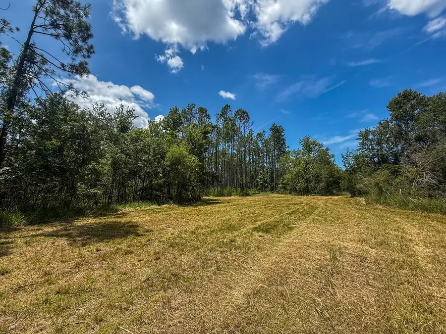 SW 844th St, Steinhatchee, FL 32359 - #3