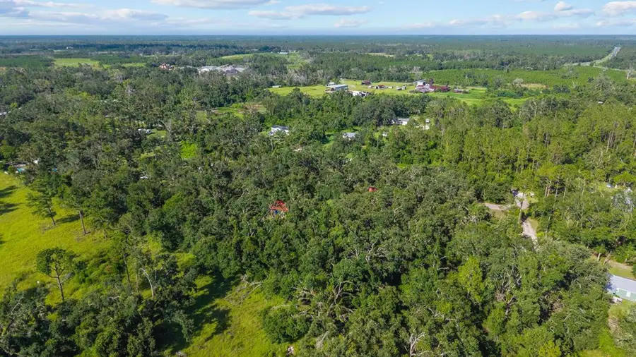 3195 Henry Gibson Rd., Perry, FL 32348 - #3