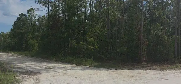 TBD NW 65th St, Bell, FL 32619