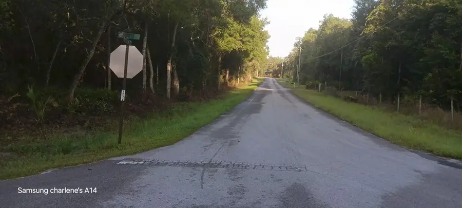 74 terr NW 153rd Ln, Chiefland, FL 32626 - #3