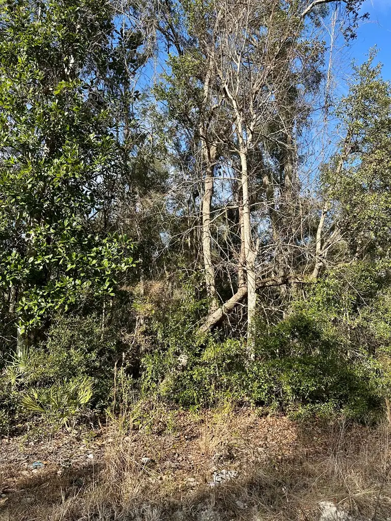 0 NE 306th Ave, Old Town, FL 32680 - #3