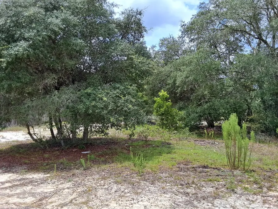 Kerria Ct, Dunnellon, FL 34431 - #2