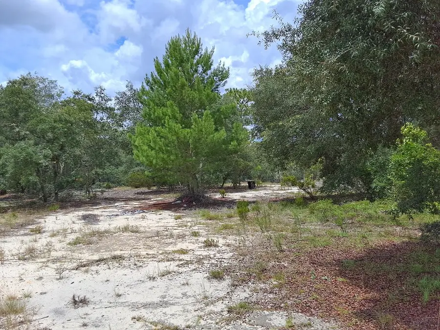Kerria Ct, Dunnellon, FL 34431 - #3