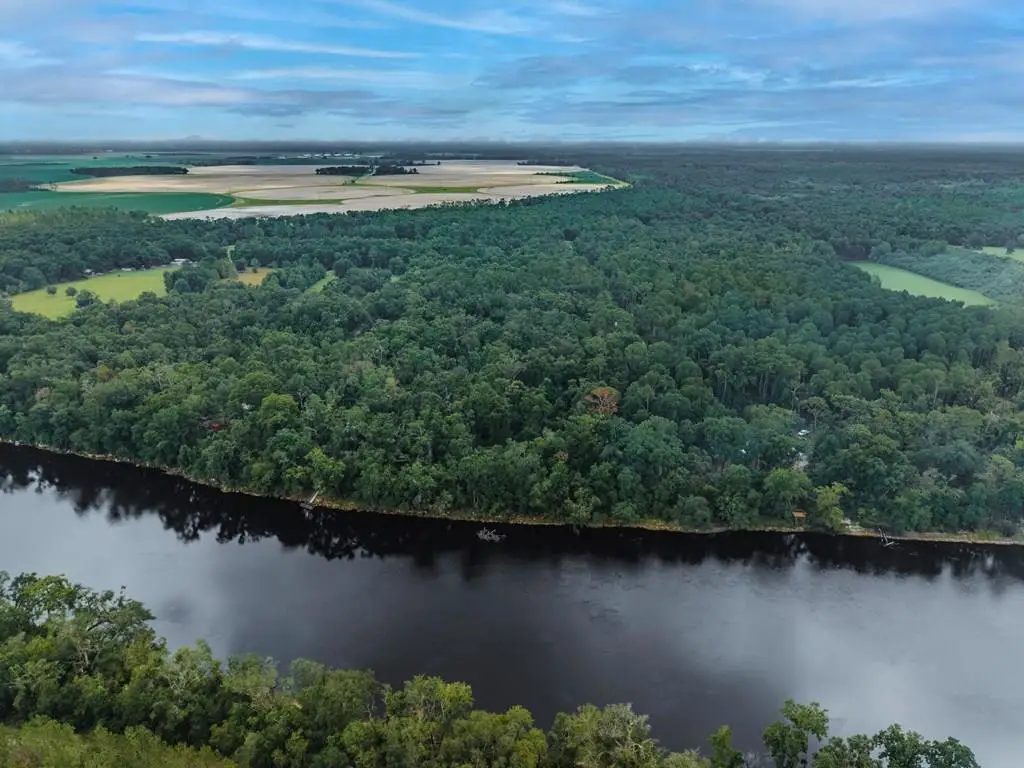 204th Pl, Suwannee, FL 32071 - #1