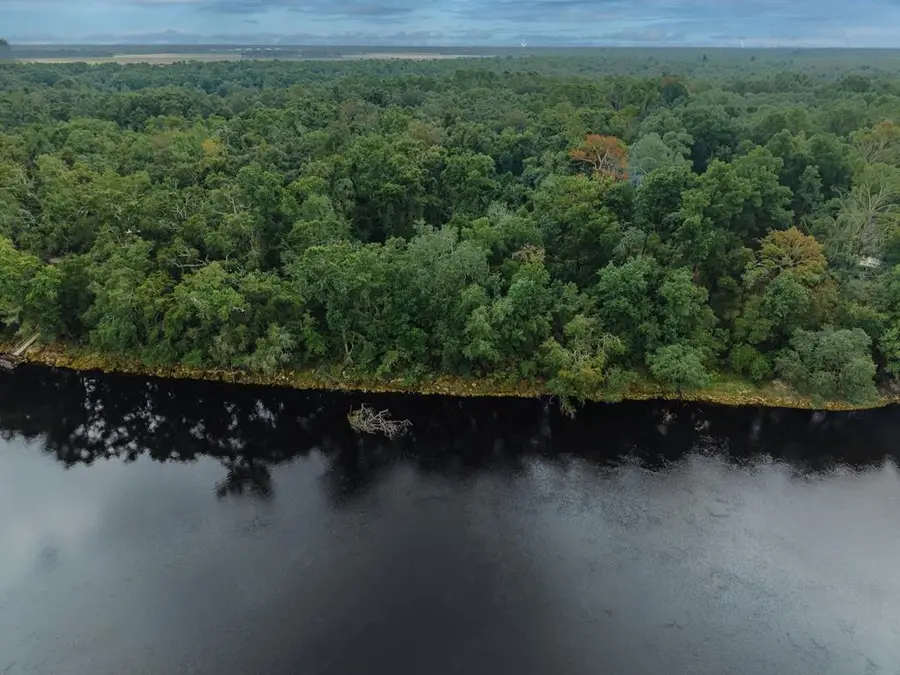 204th Pl, Suwannee, FL 32071 - #2