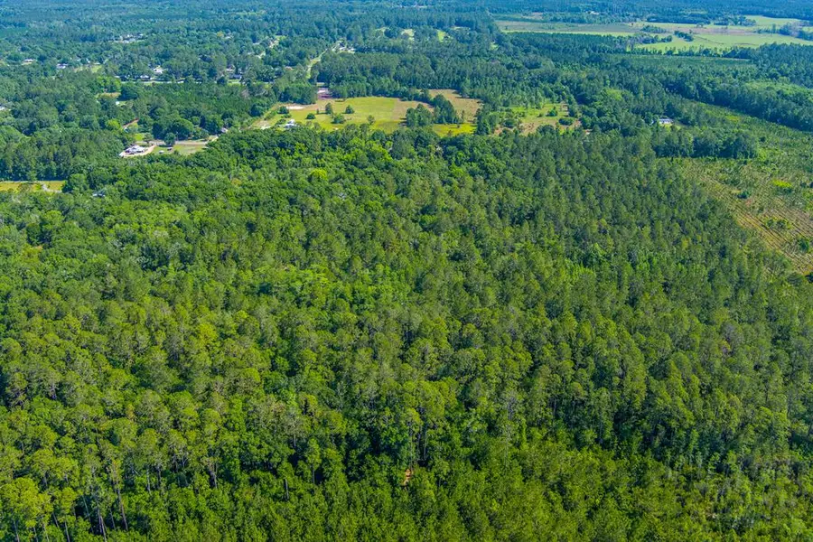 Parcel C SE 150th St, Starke, FL 32091 - #2