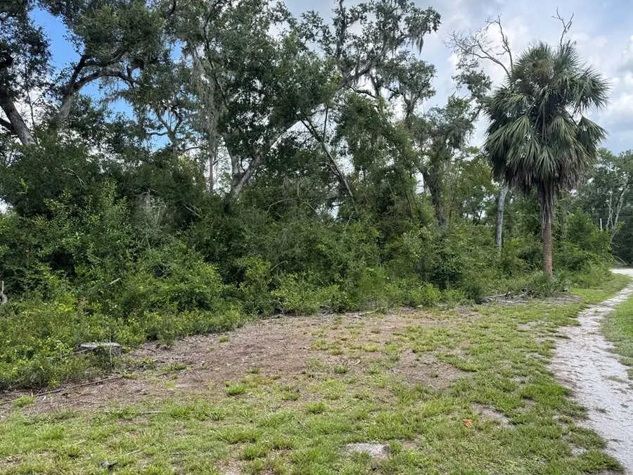 4987 NE 353rd St, Old Town, FL 32680 - #2