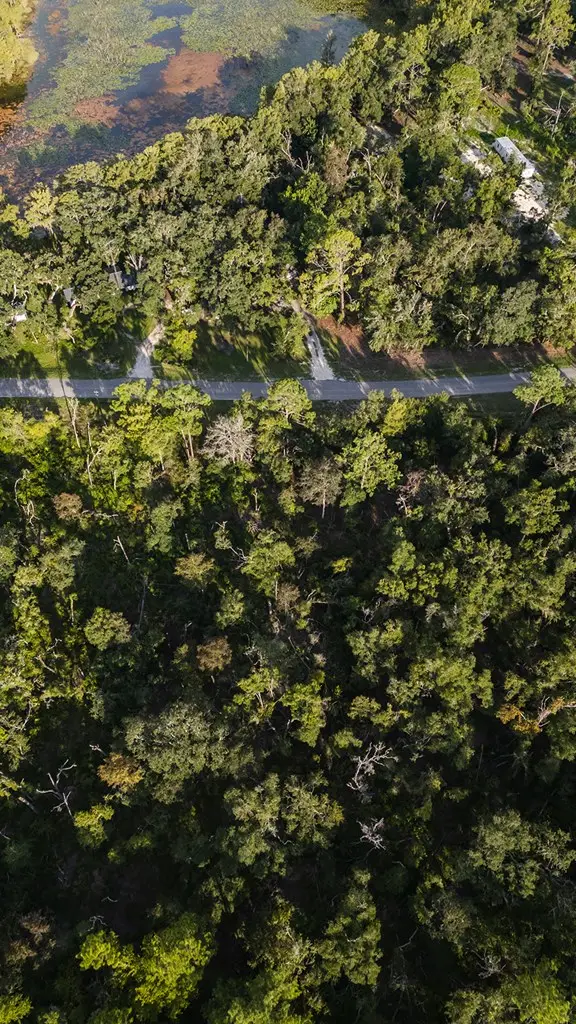 4987 NE 353rd St, Old Town, FL 32680 - #3