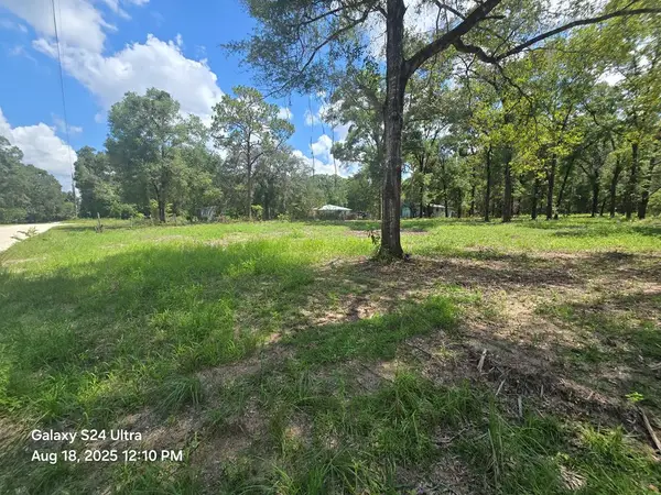 TBD NW 50th Ter, Bell, FL 32619