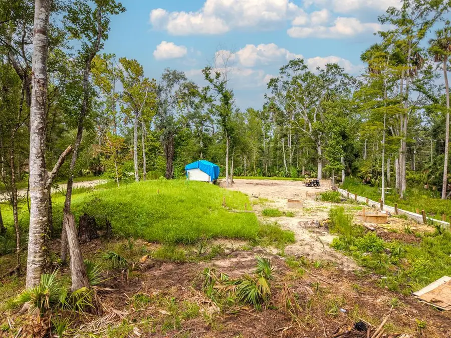 348 SW 123rd Ave, Steinhatchee, FL 32359 - #3