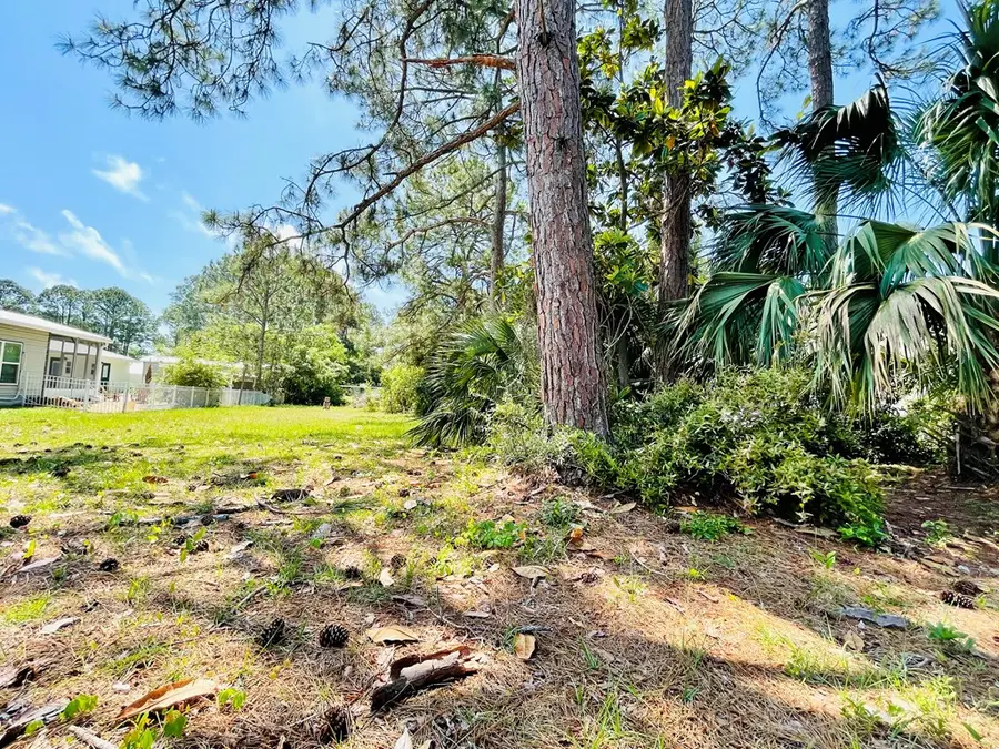 2528 Florida Ave, Carrabelle, FL 32322 - #2