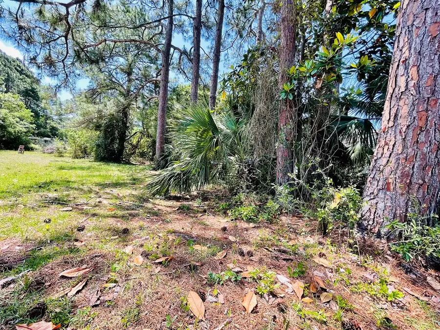 2528 Florida Ave, Carrabelle, FL 32322 - #3