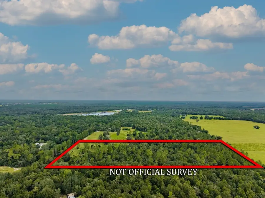 NE 580th St, Old Town, FL 32680 - #2