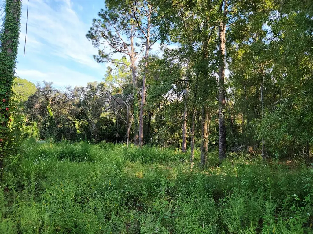 16870 NW 80th Ave, Fanning Springs, FL 32693 - #1