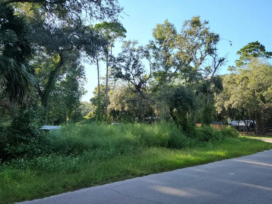 16870 NW 80th Ave, Fanning Springs, FL 32693 - #2