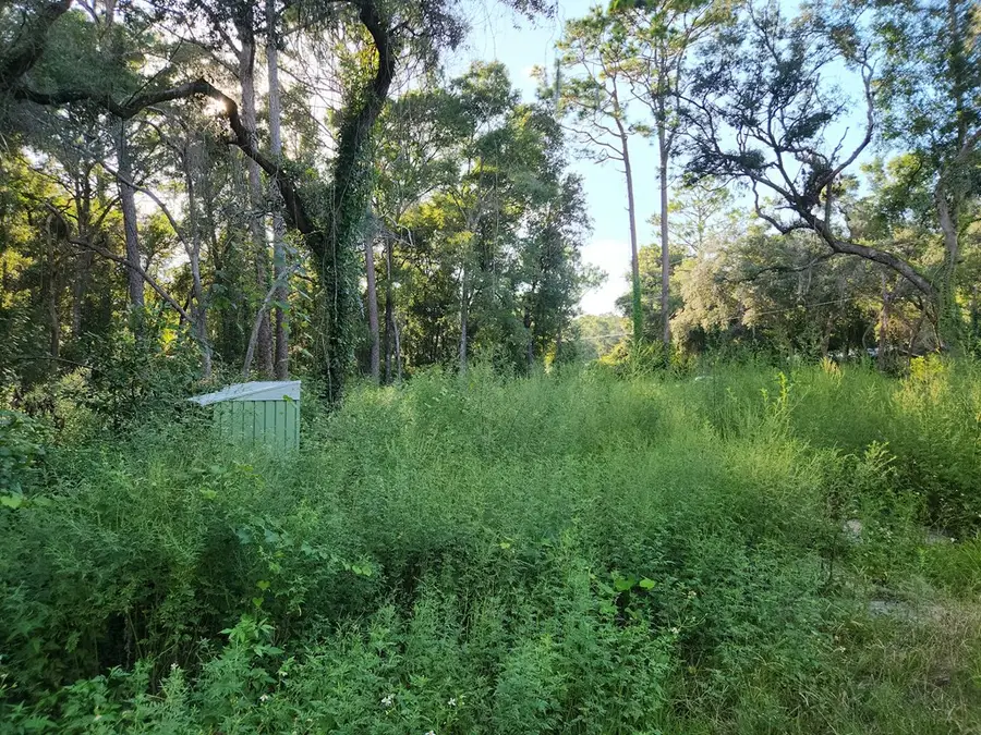 16870 NW 80th Ave, Fanning Springs, FL 32693 - #3