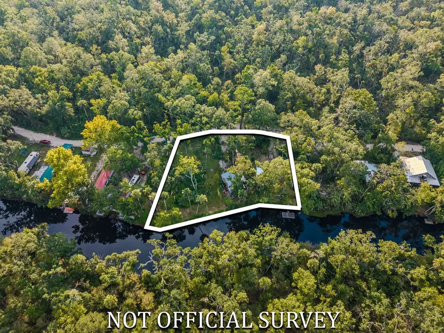 1738 NE River Rd, Steinhatchee, FL 32359 - #2