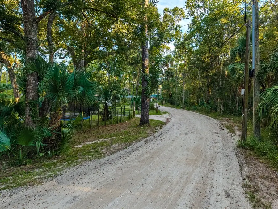 1738 NE River Rd, Steinhatchee, FL 32359 - #3