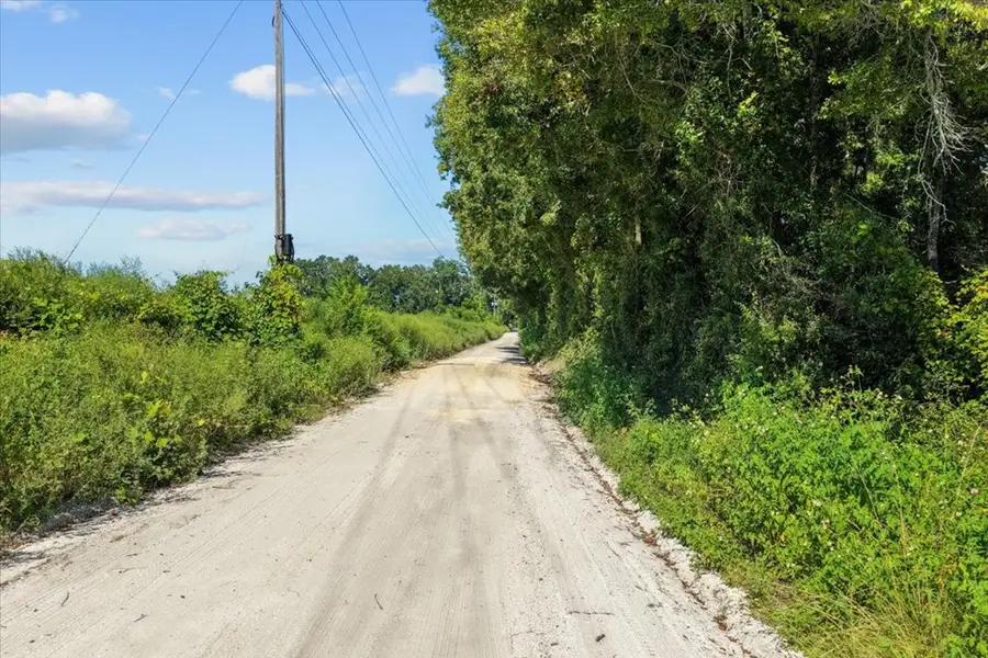 2068 SE Moses Dairy Road, Branford, FL 32008 - #3