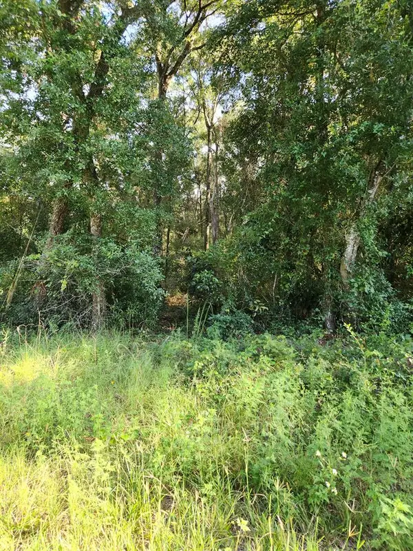 TBD NW 168th Ln, Fanning Springs, FL 32693