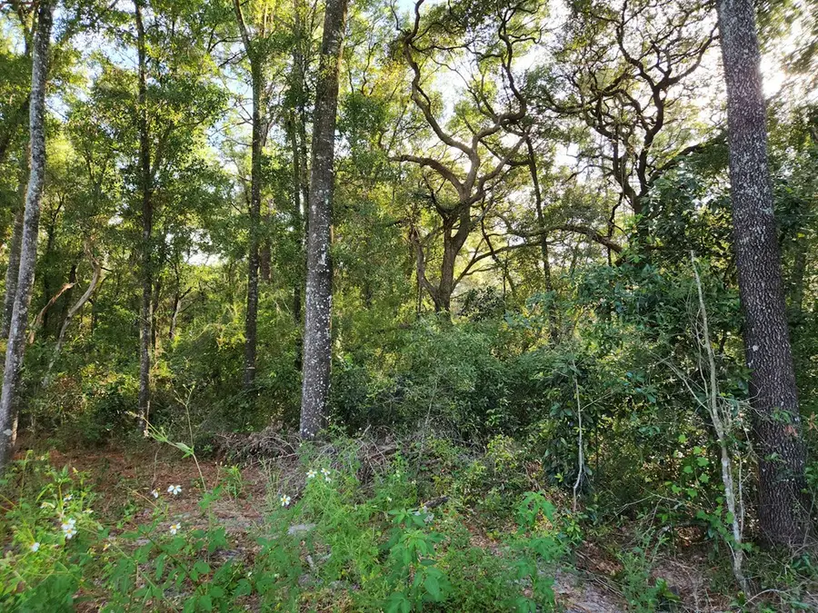 TBD NW 168th Ln, Fanning Springs, FL 32693 - #2