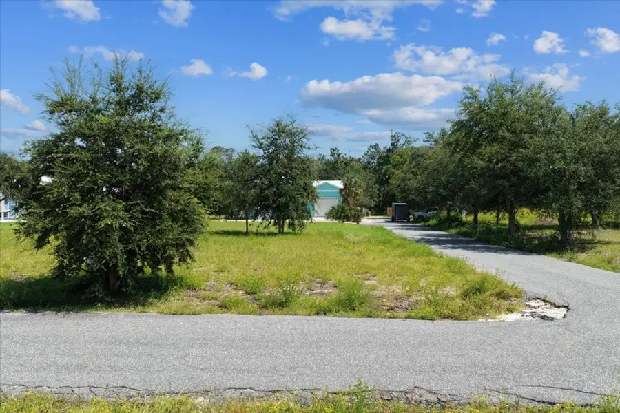 0 869th Loop, Steinhatchee, FL 32359 - #2