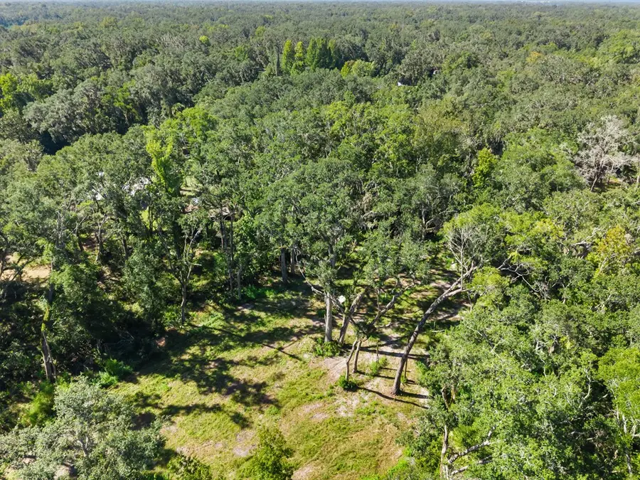 548 NE 543rd St, Old Town, FL 32680 - #3