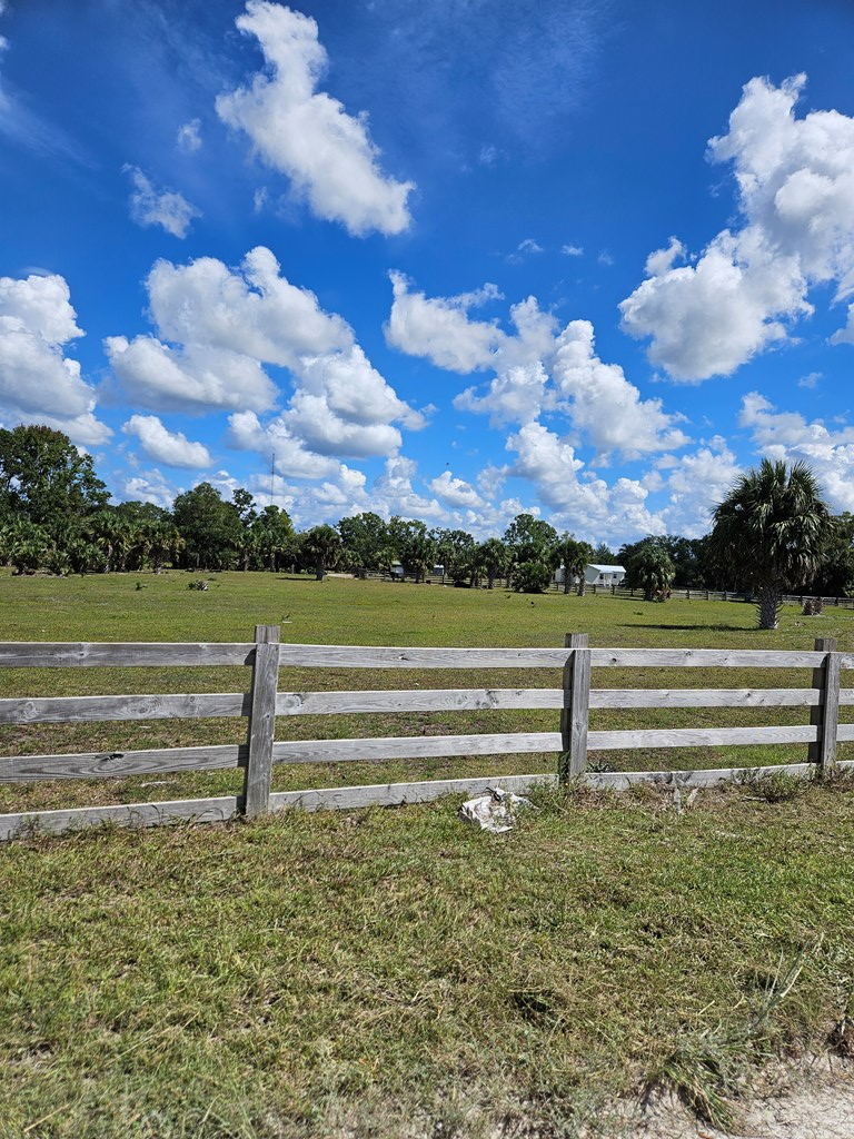 381 SW 398th St, Horseshoe Beach, FL 32648 - #2