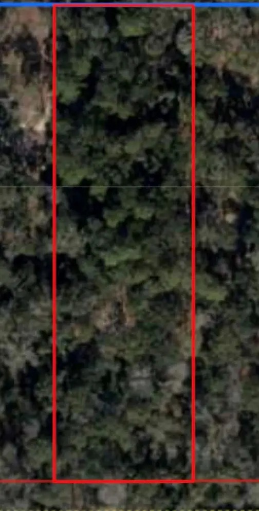 Lot 10 NW 166th Pl, Fanning Springs, FL 32693