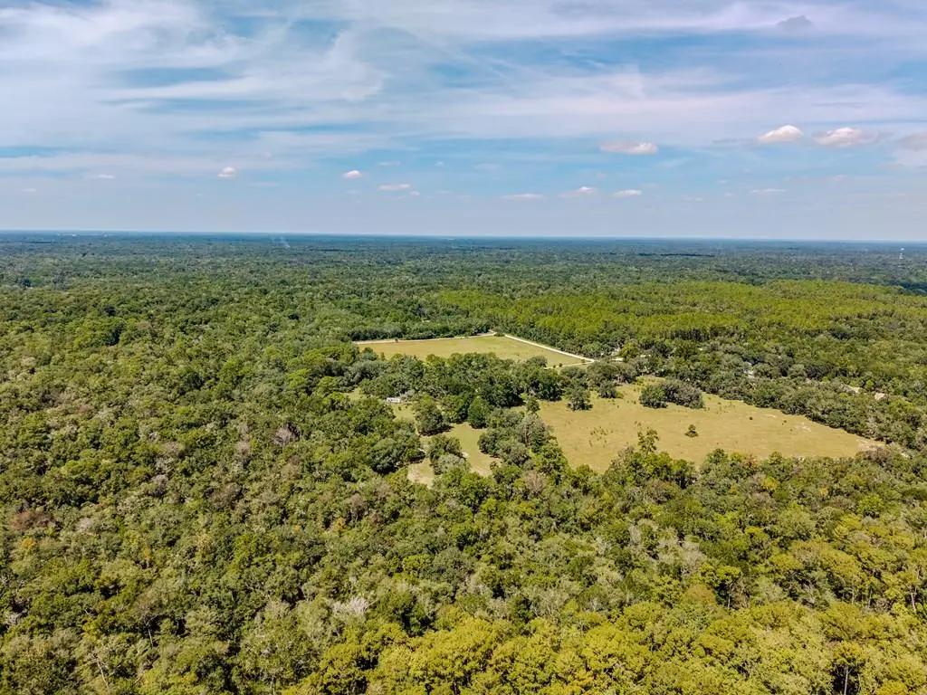 478 NE 242 Ave, Old Town, FL 32680 - #1