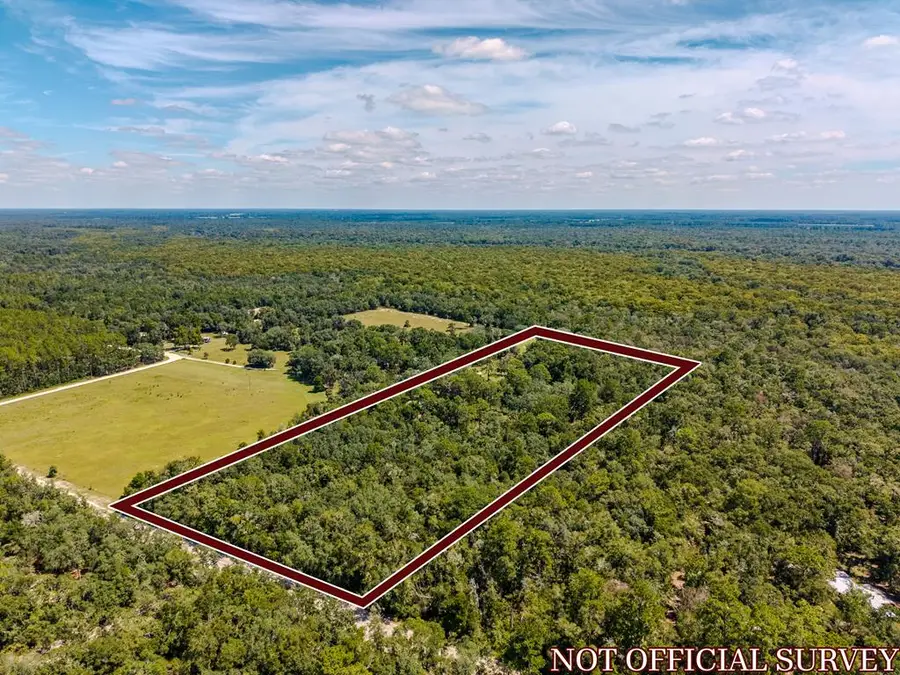 478 NE 242 Ave, Old Town, FL 32680 - #3