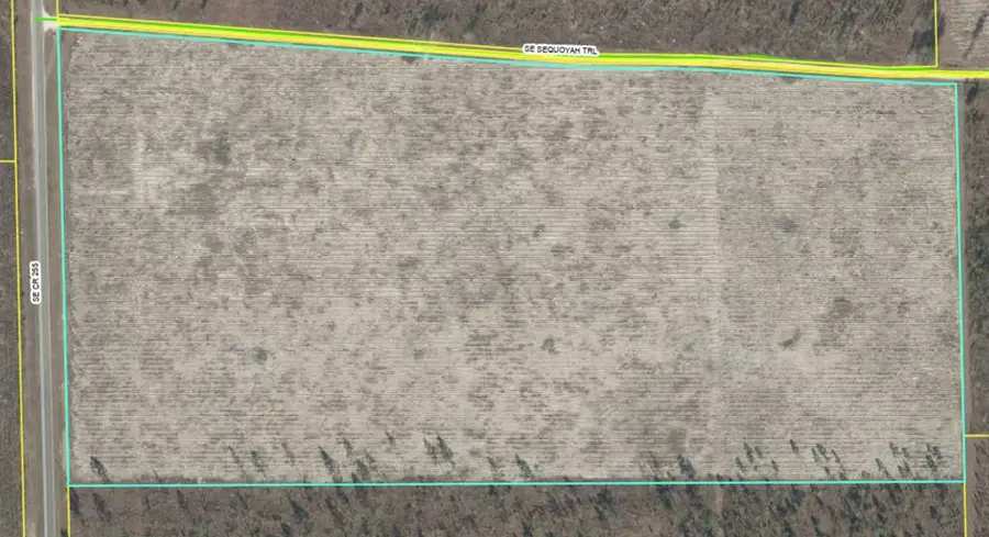 County Road, Lee, FL 32059 - #2