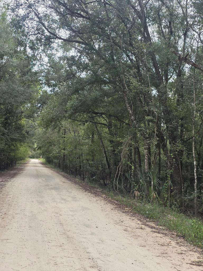 3190 NW 70th Way, Bell, FL 32619 - #1