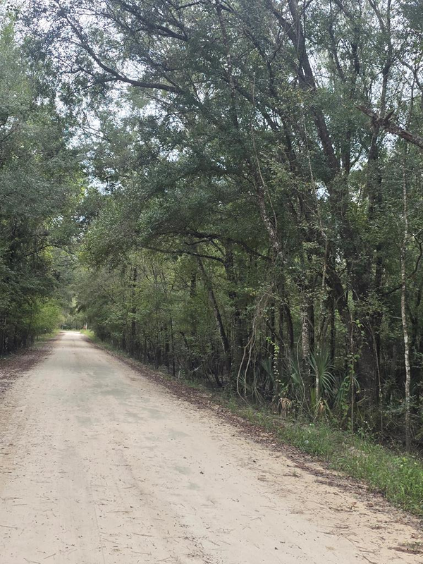 3190 NW 70th Way, Bell, FL 32619