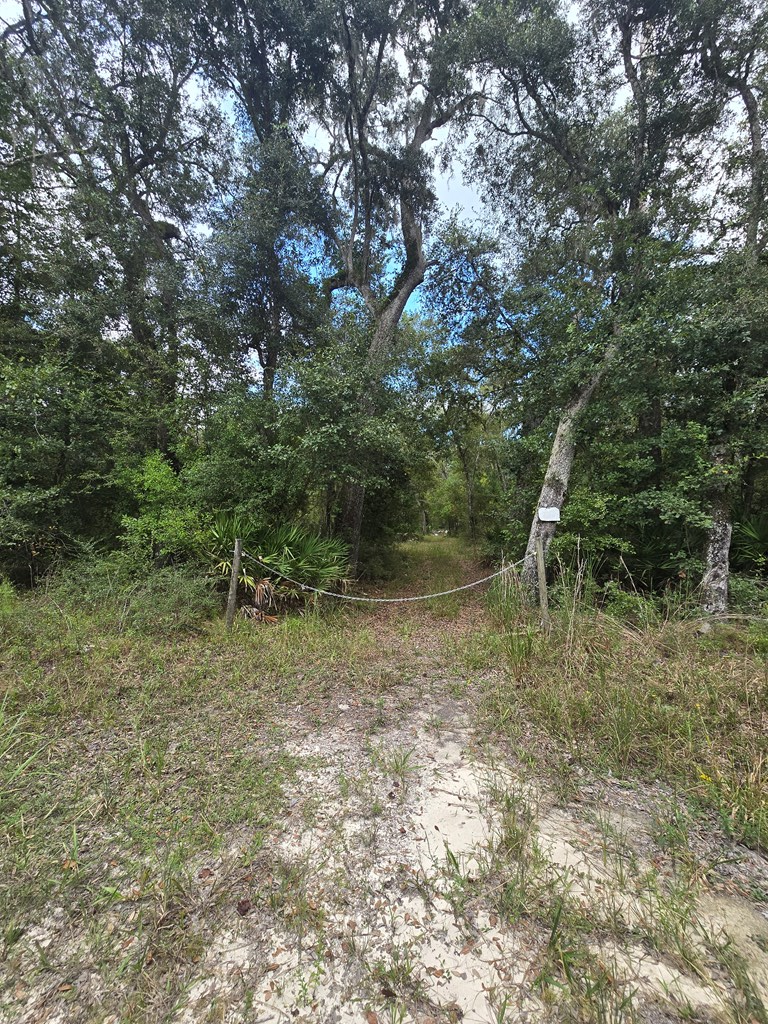 3190 NW 70th Way, Bell, FL 32619 - #2