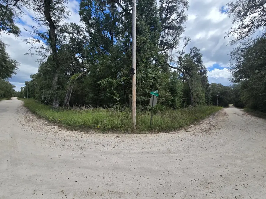 3190 NW 70th Way, Bell, FL 32619 - #3