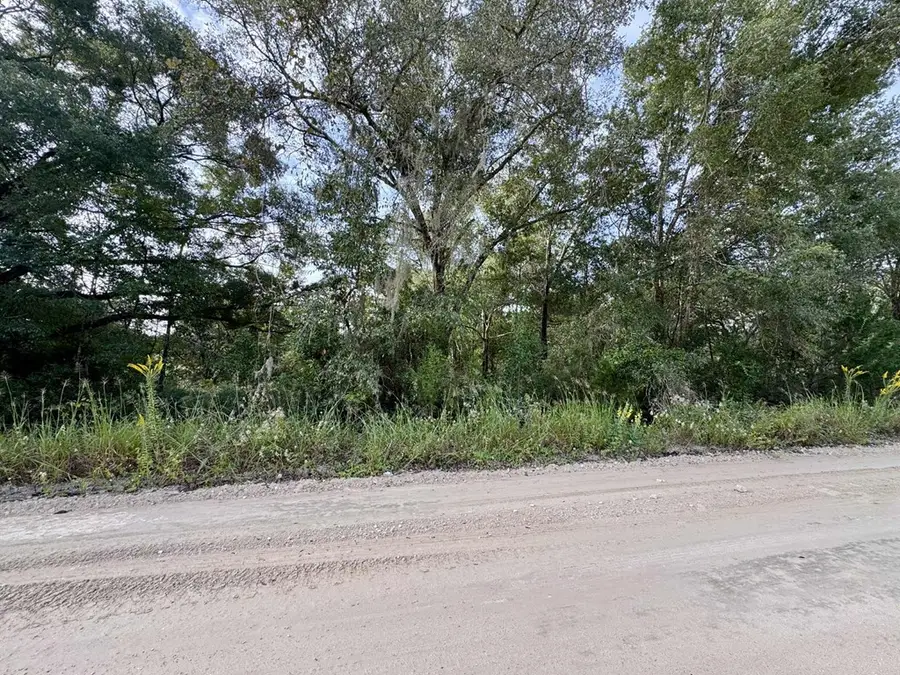 TBD SE 80th Ln, Trenton, FL 32693 - #2