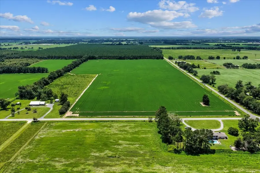 Lot 6 NW 130th St, Chiefland, FL 32626 - #3