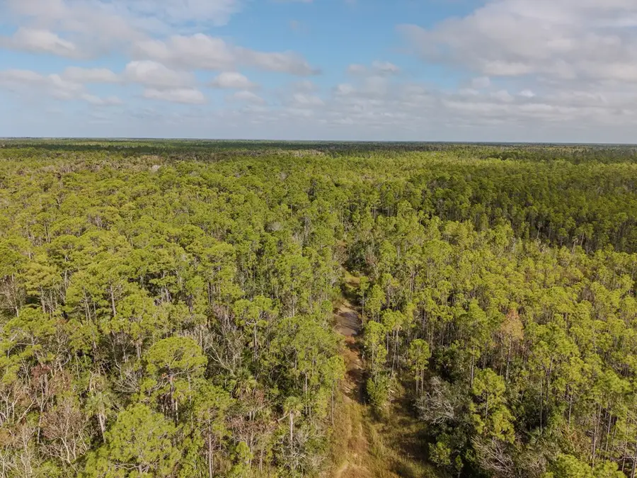 SW 741st St, Horseshoe Beach, FL 32648 - #2