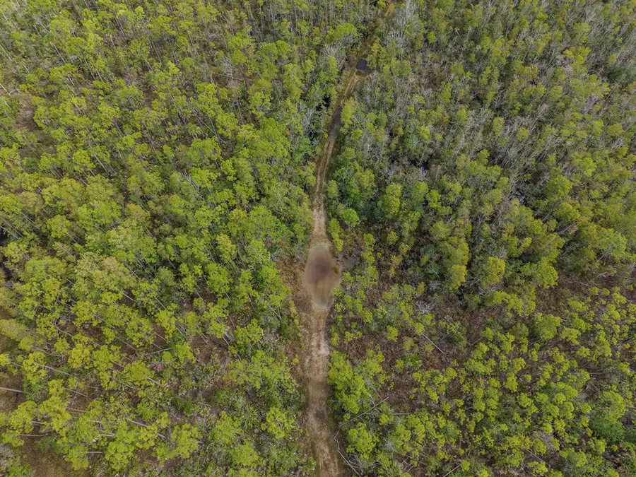 SW 741st St, Horseshoe Beach, FL 32648 - #3