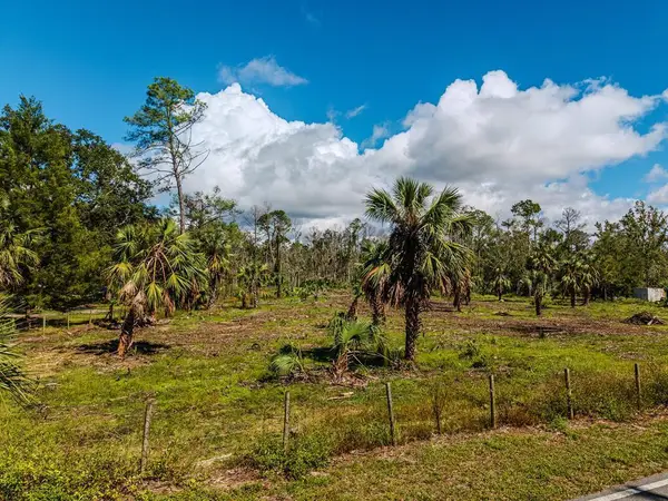 0 820th St, Steinhatchee, FL 32359