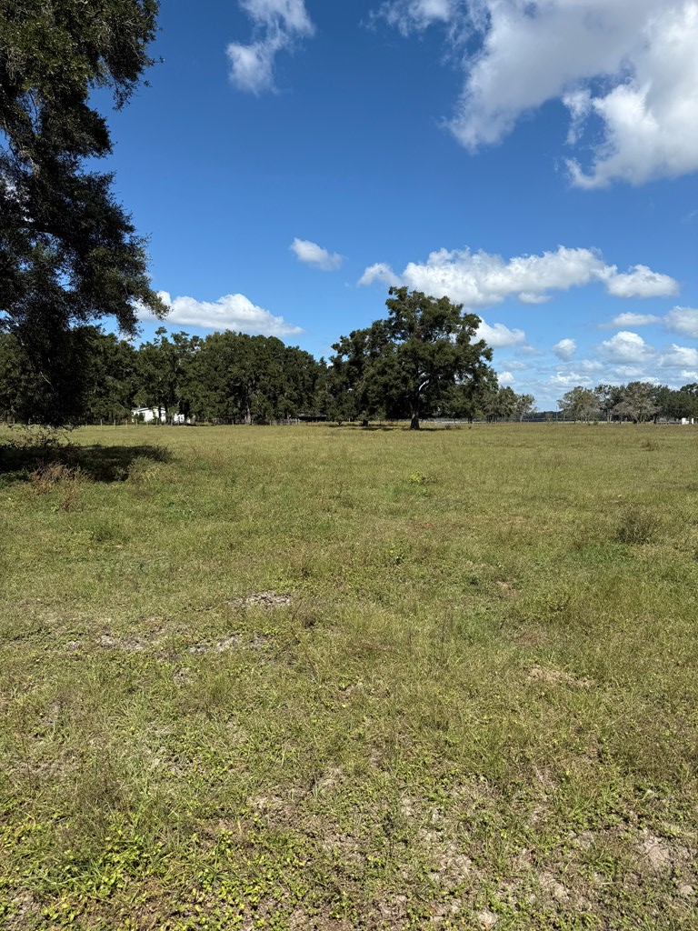 15330 NE County Road 349, Branford, FL 32008 - #3