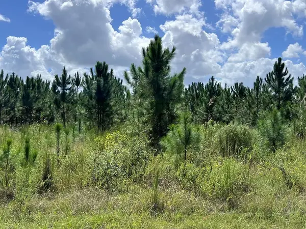 Lot 2 SW 50th Ave, Bell, FL 32619