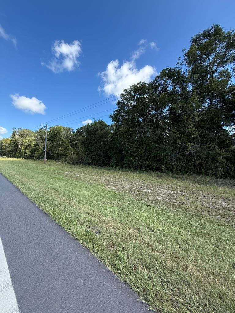 TBD County Road 129, Branford, FL 32008 - #1
