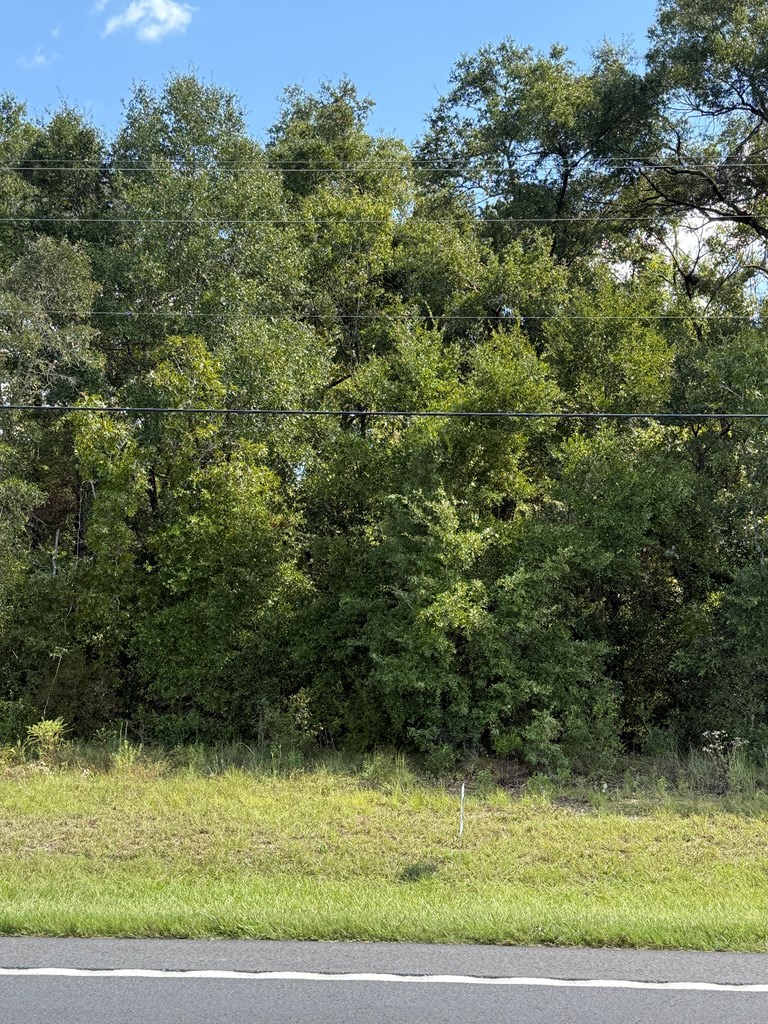 TBD County Road 129, Branford, FL 32008 - #3