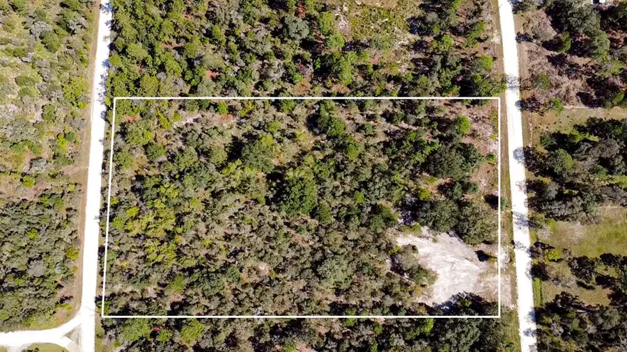 13251 SE 25th St, Morriston, FL 32668 - #2