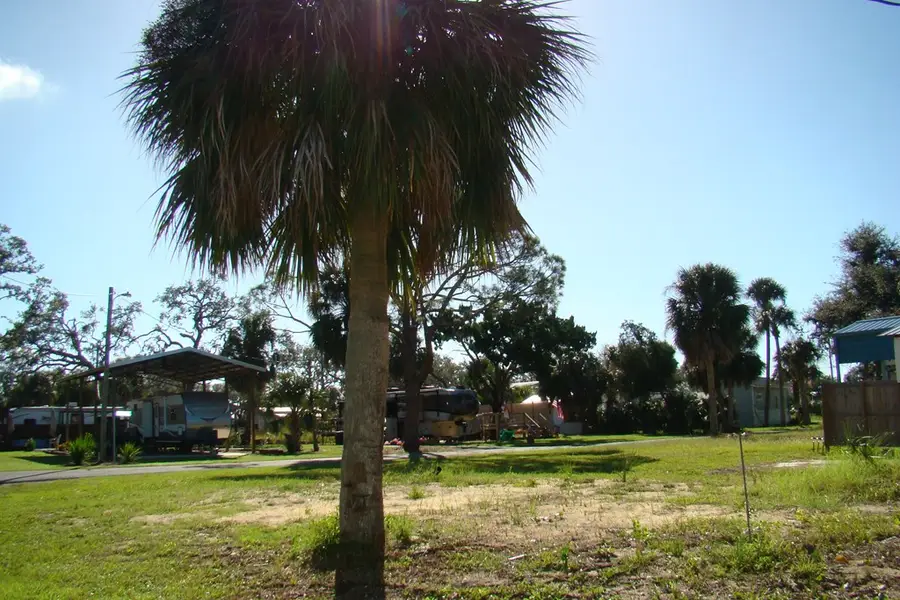 60 1st Ct, Horseshoe Beach, FL 32648 - #3