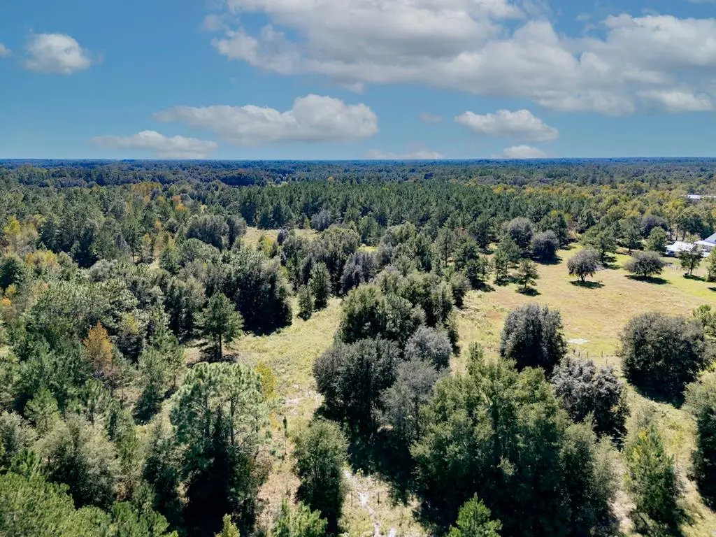 NE 75th St, Williston, FL 32696 - #1